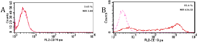 Validation studies of a CD229 monoclonal antibody with flow cytometry